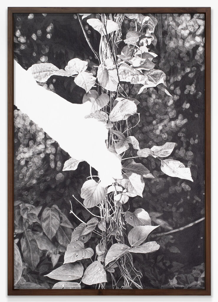 Toda escritura comienza en una selva VII/