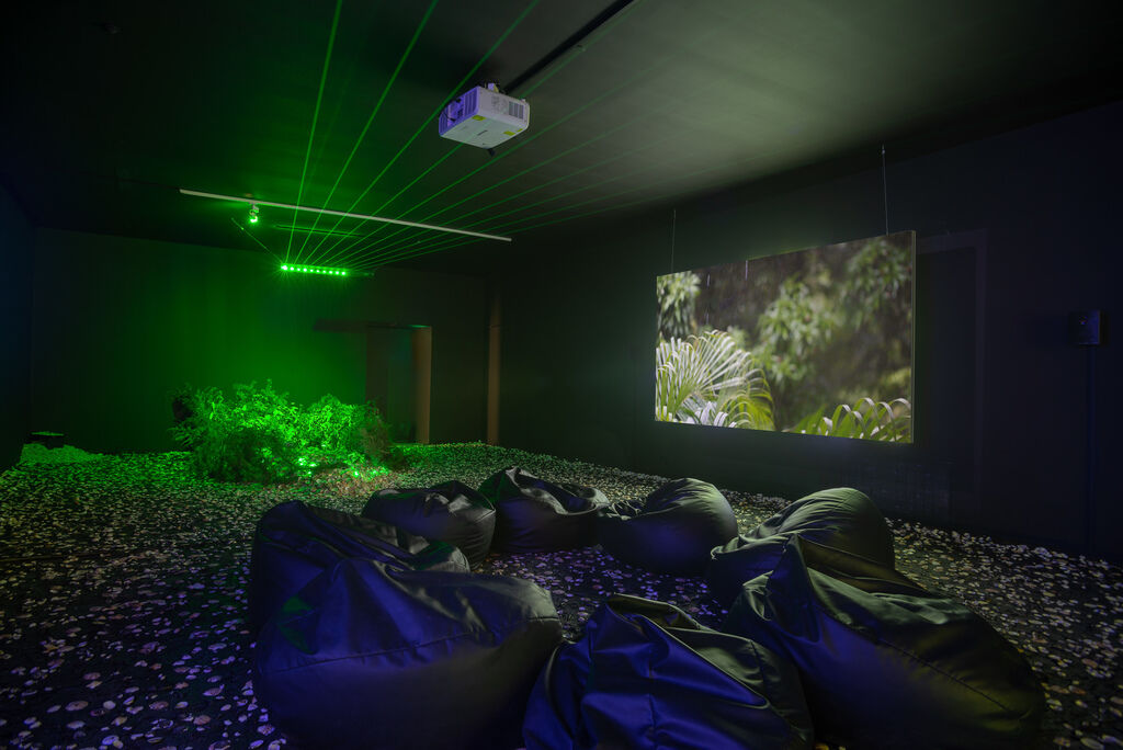 No History in a Room Filled with People with Funny Names 5