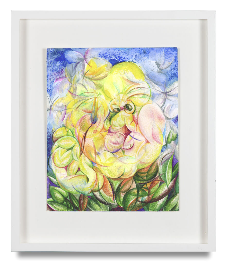 Like Moths to a Flame