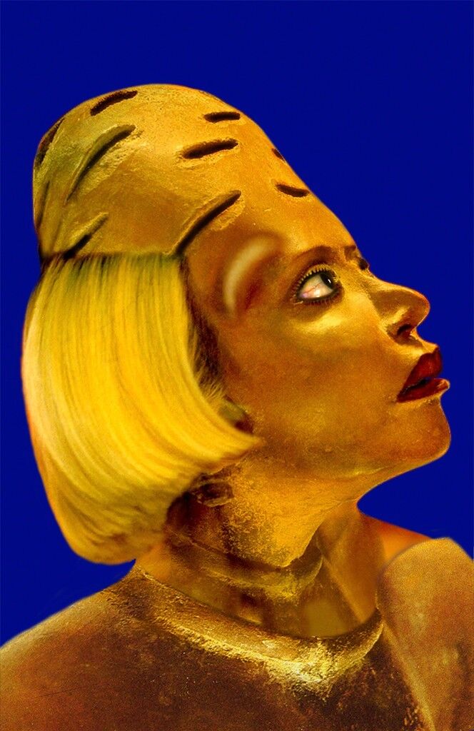 Desfiguración-reconfiguración, auto-hibridación precolombina No.2