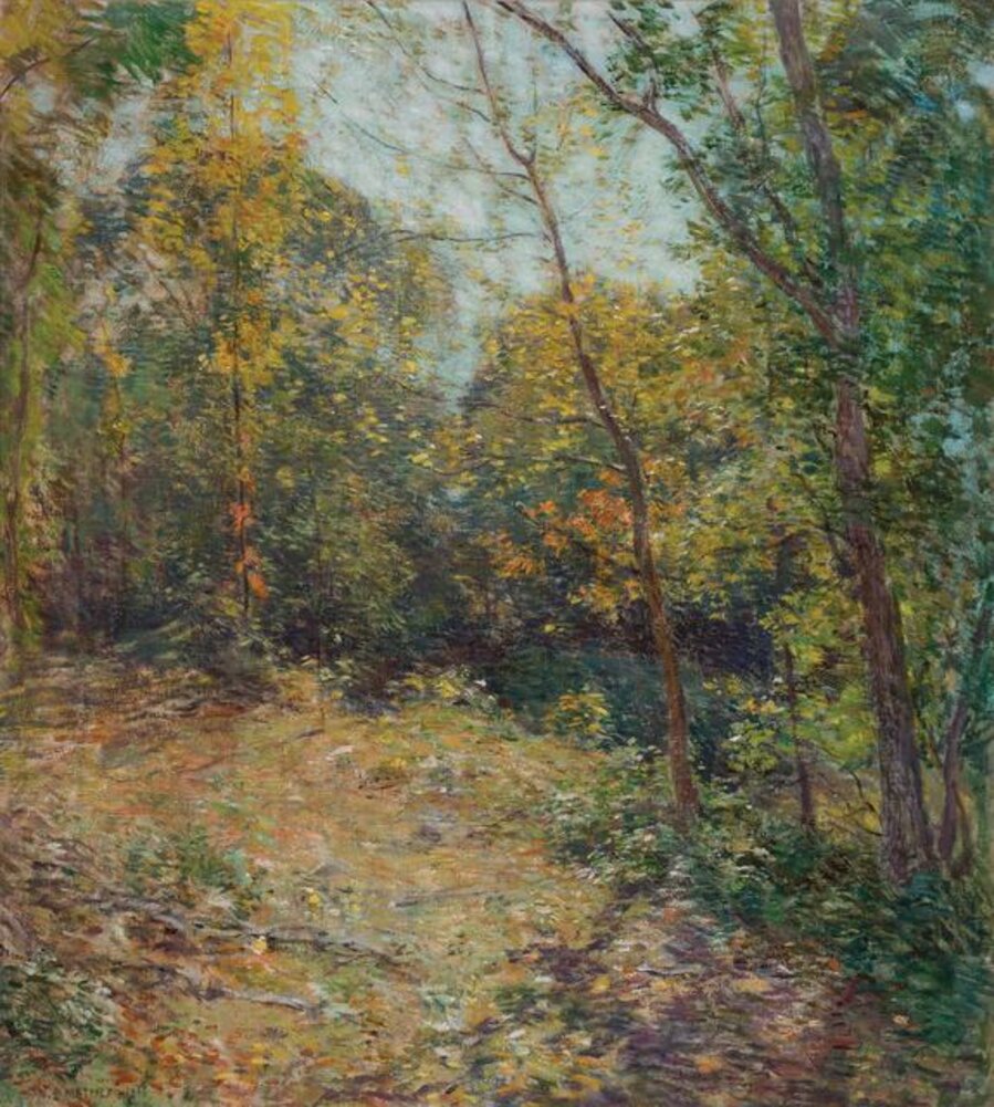 Partridge Woods
