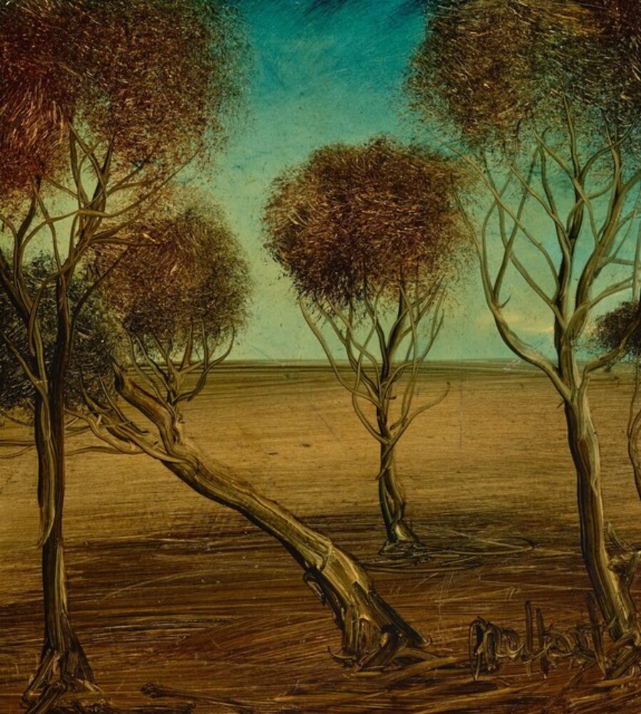 Bush Scene
