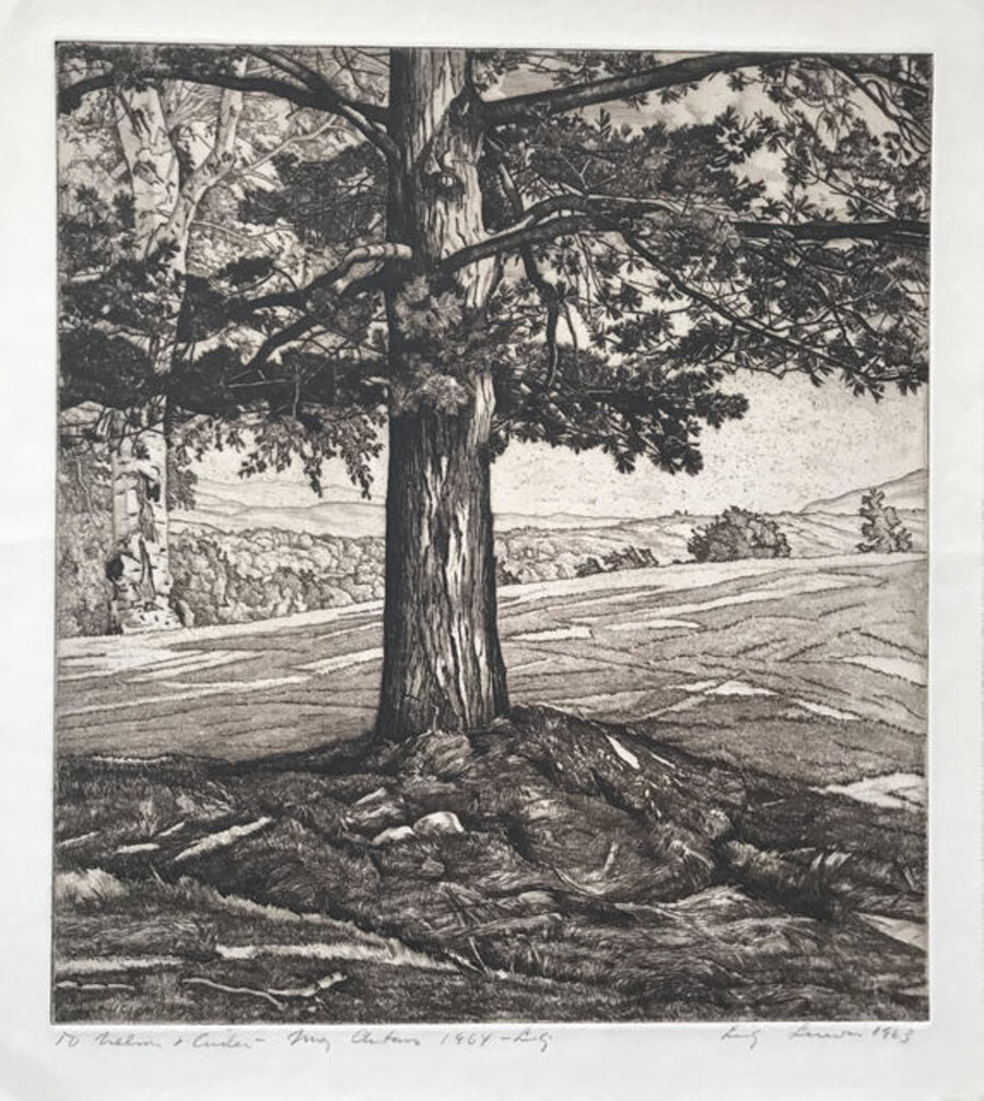 Beyond the Pine