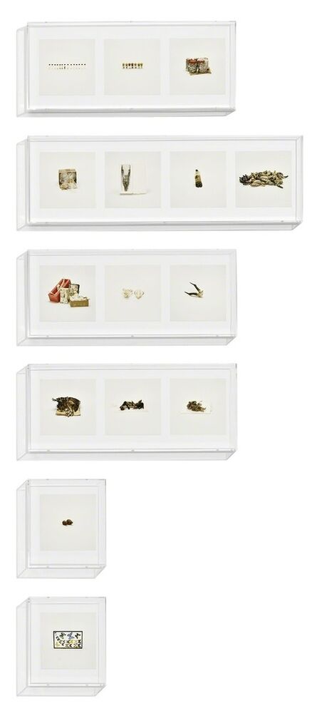 Taryn Simon, ‘Animal Corpses (Prohibited), Animal Parts (Prohibited), Animal Skeletons (Prohibited), Animal Specimens (Prohibited), Butterflies (Prohibited), Snails (Prohibited), ’, 2010