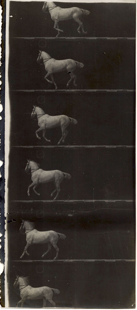 Étienne-Jules Marey, ‘Print of Partial Film Strip of a White Horse in Six Frames’, 1895-98