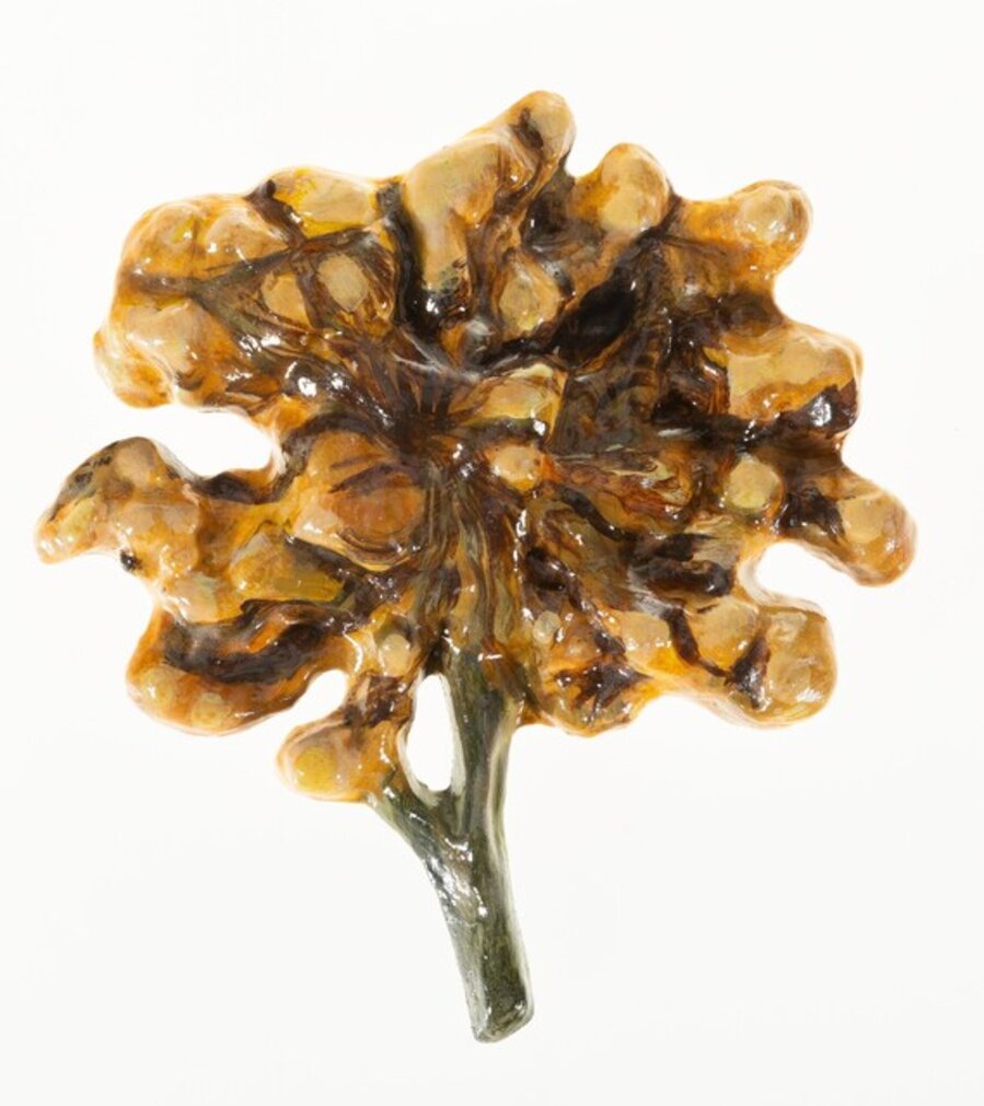 Tempura-Fried Flower from Incarcerated Scarfaces series
