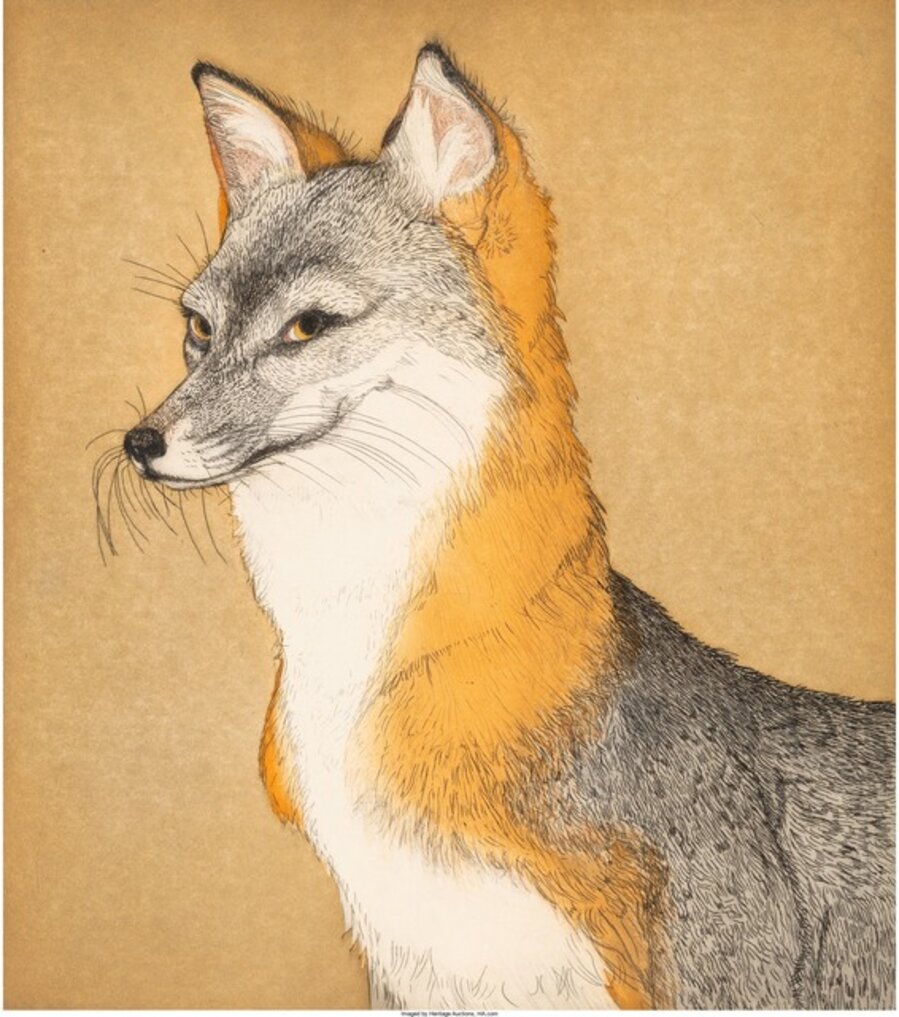 Fox