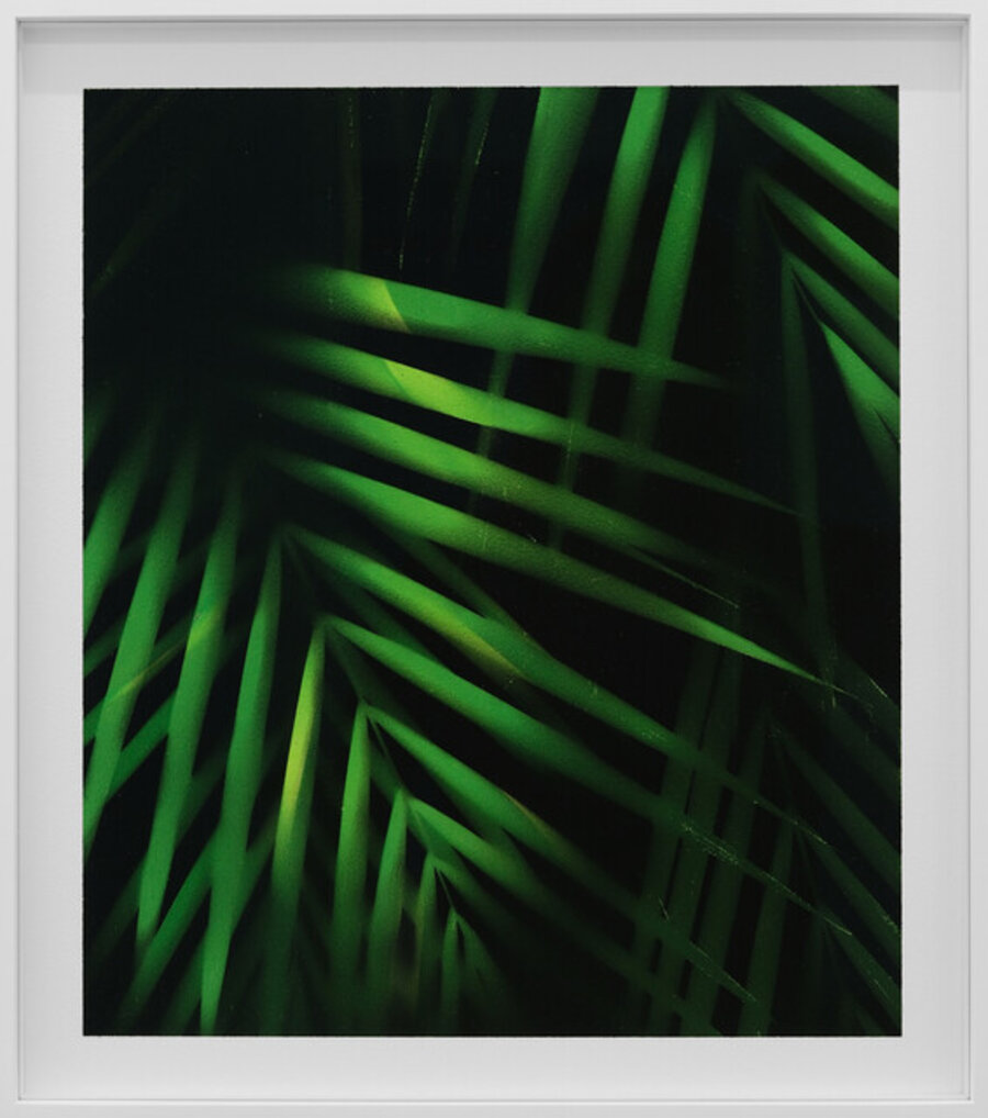 Nocturnal