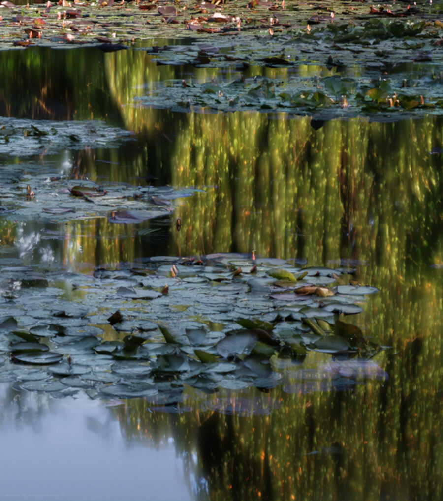 Giverny (6.38 - 9.50 Uhr, 26.6.2014)