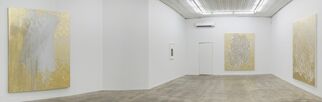 Rudolf Stingel: Part V, installation view