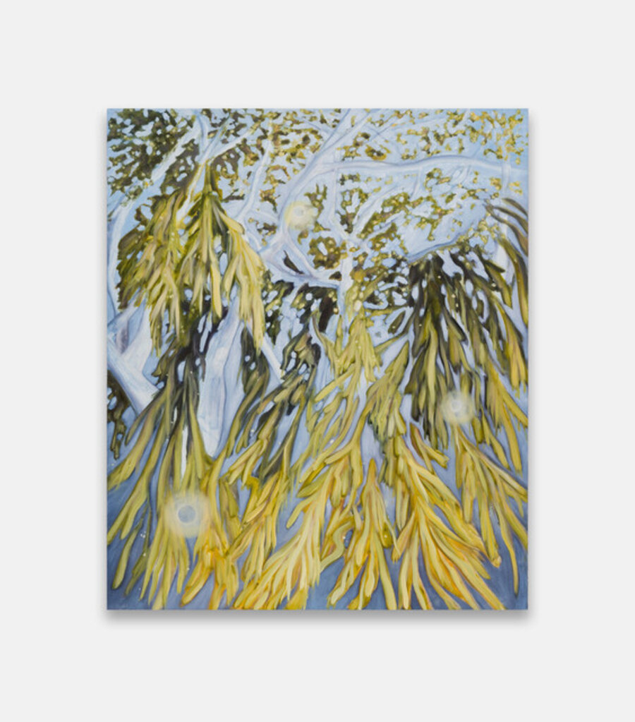 Downwillow