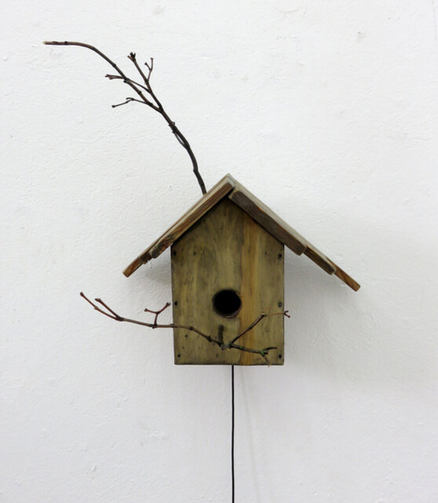Alvaro at Night (15.05.2020)