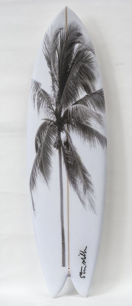 Steve Miller, ‘ Black Palm on White Board’, 2019