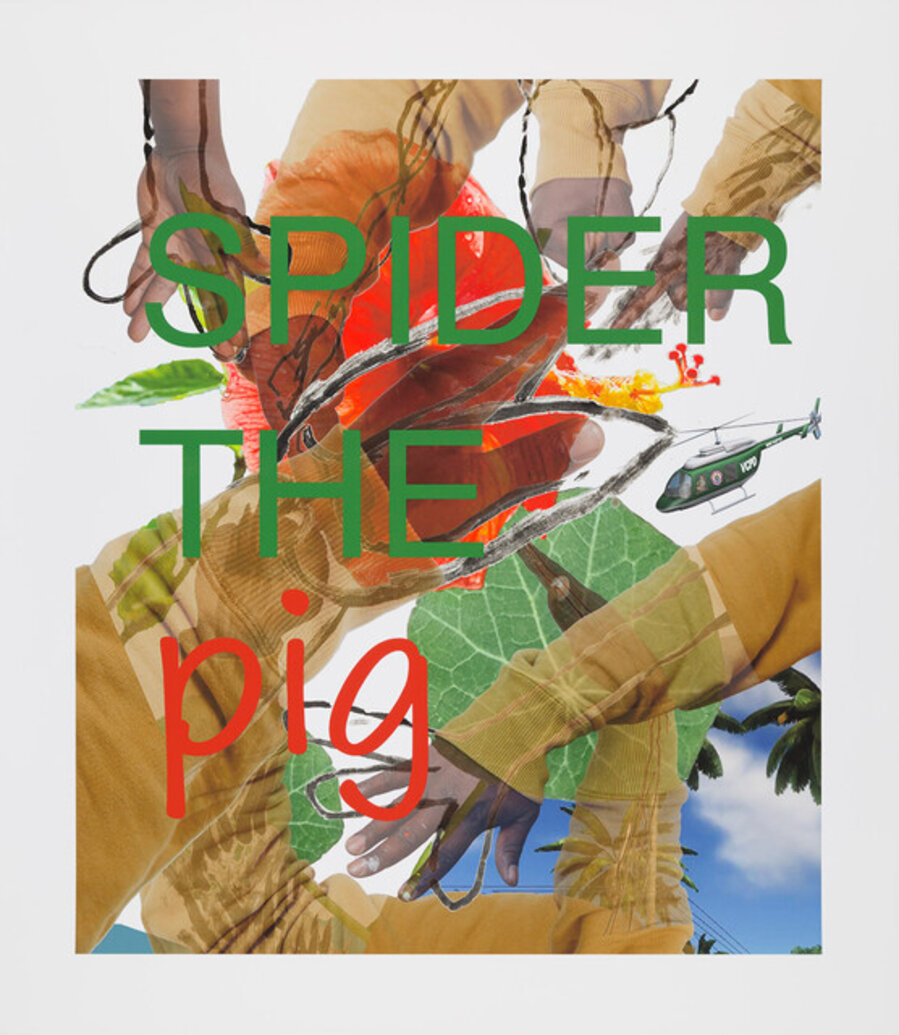 Spider the Pig, Pig the Spider