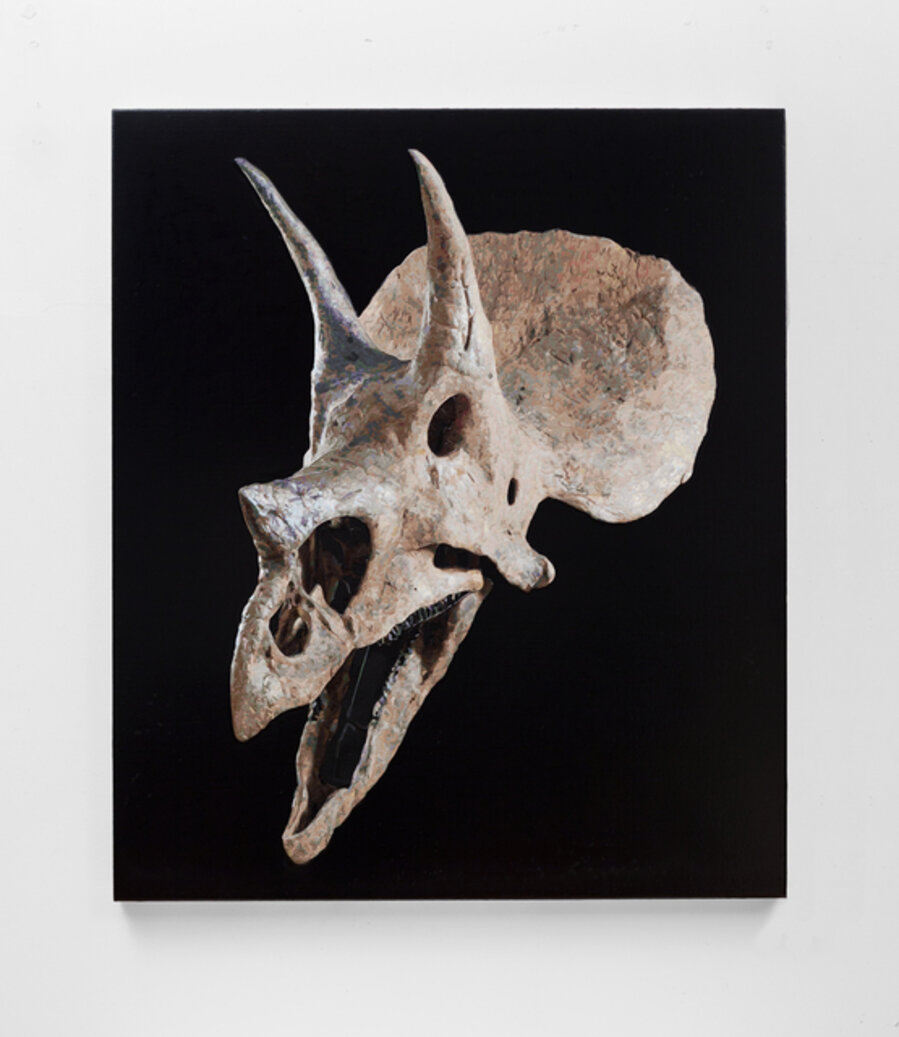 Christie's Online Auction 18818 - The Skull Of A Triceratops, Hell Creek Formation, Montana, USA