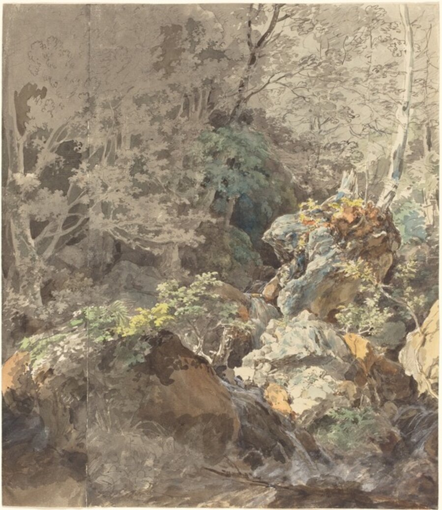 Waterfalls in a Mountain Forest