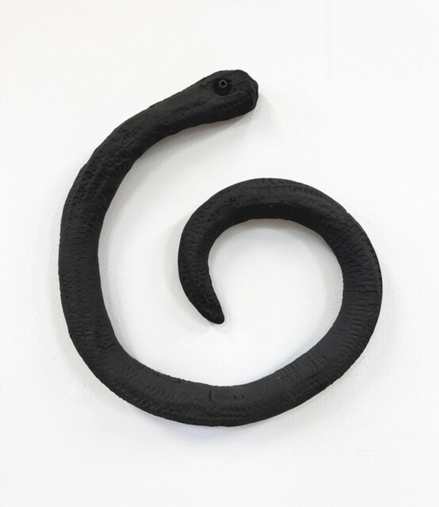 Culebra Espiral