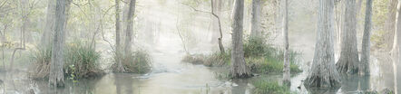 David H. Gibson, ‘Morning Along Cypress Creek, April 15, 2007, 7:07 AM, Wimberley, Texas’, 2007