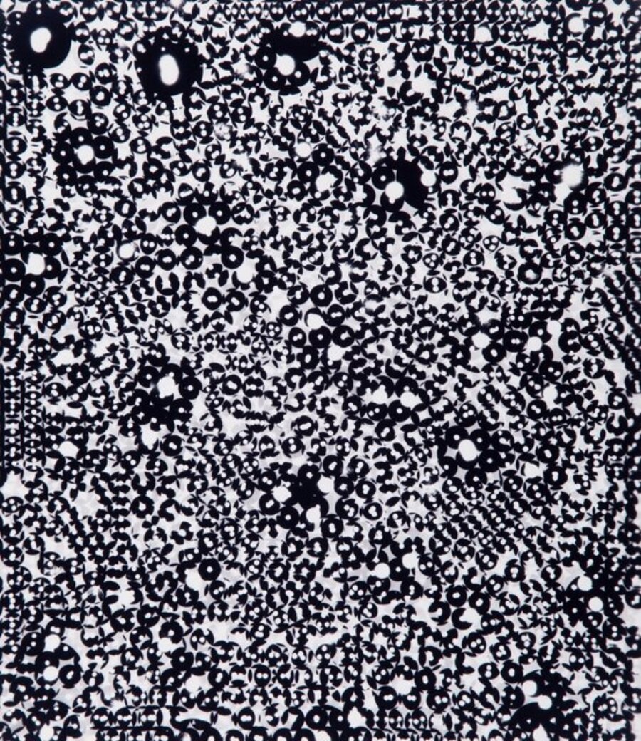 Untitled (from Struck by Light series)
