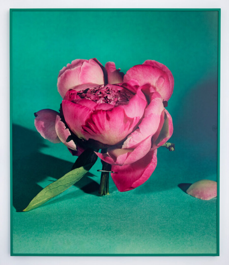 Peony I