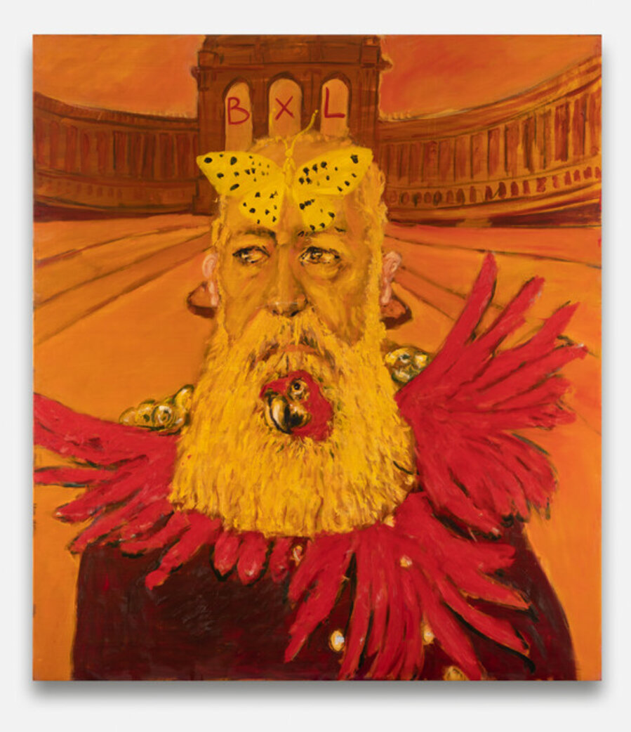 Le roi au barbe ara