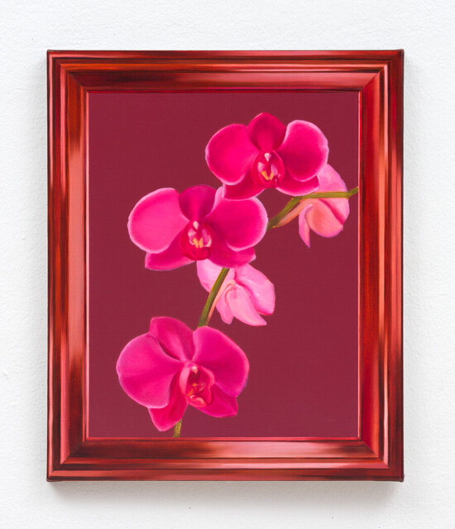 The Orchid in the Frame