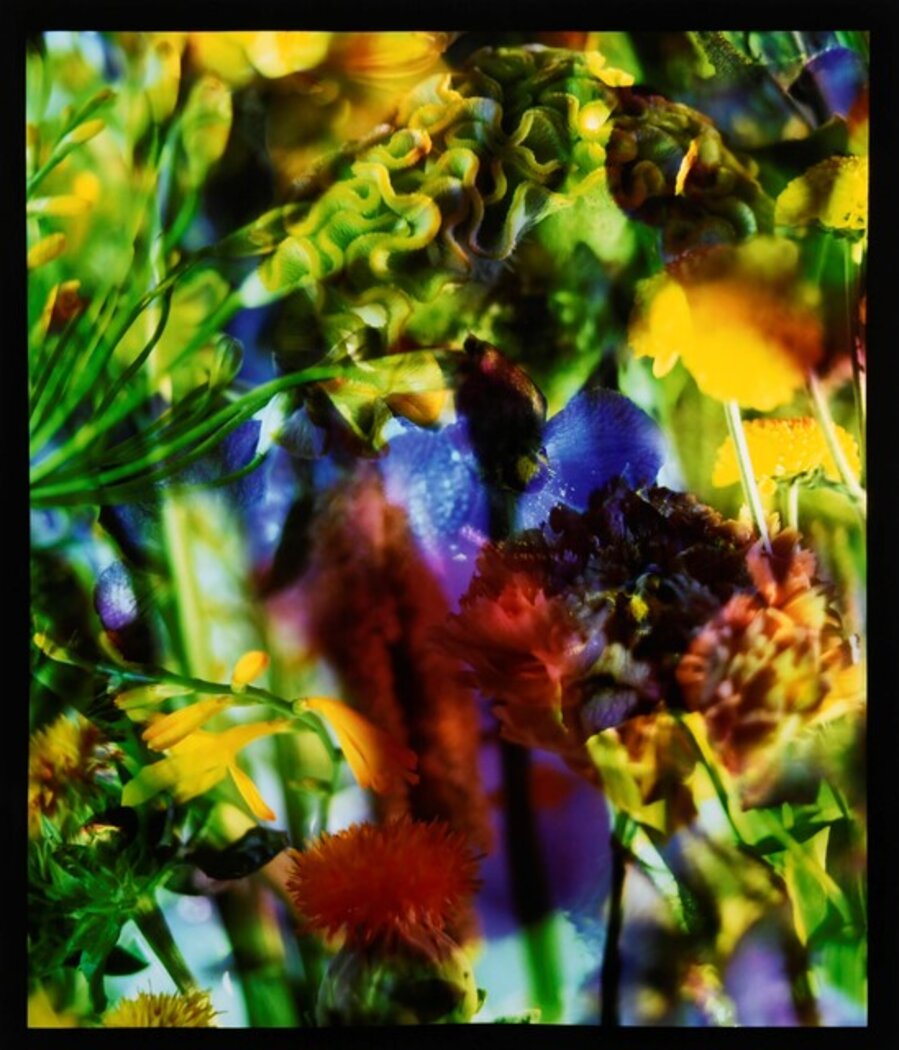 Lost paradise II