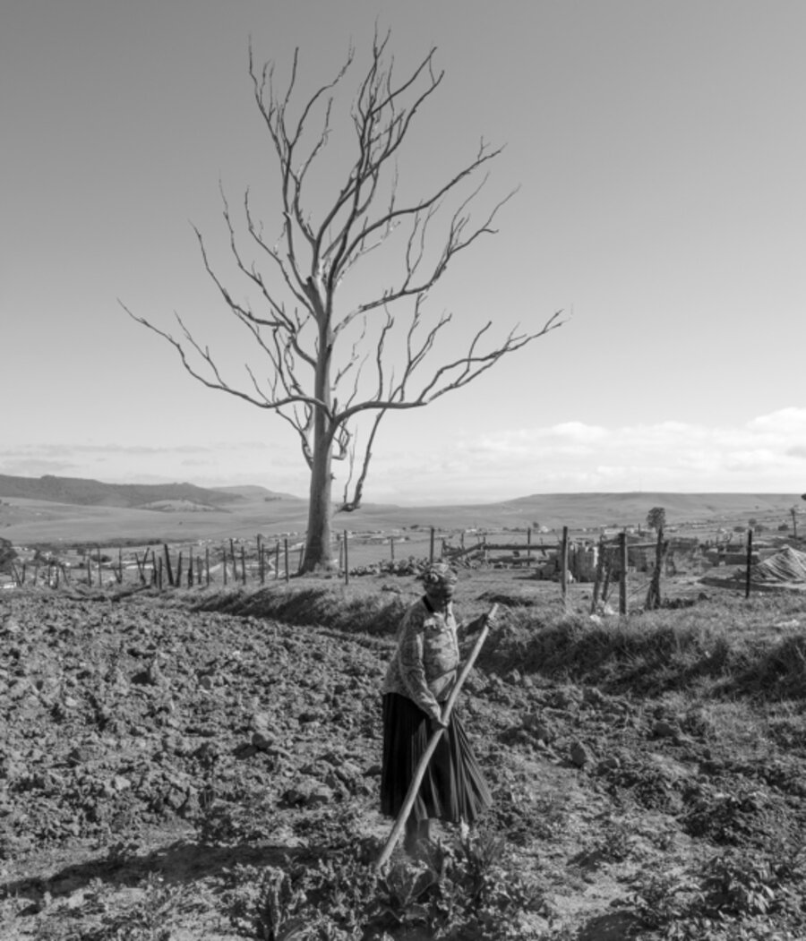 Makhulu in the field, 2018