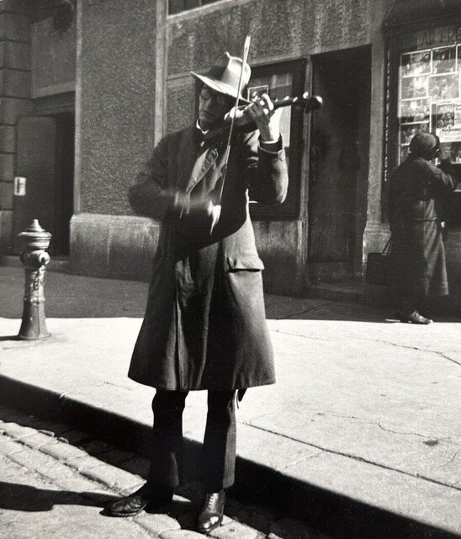 Violinist, Vienna