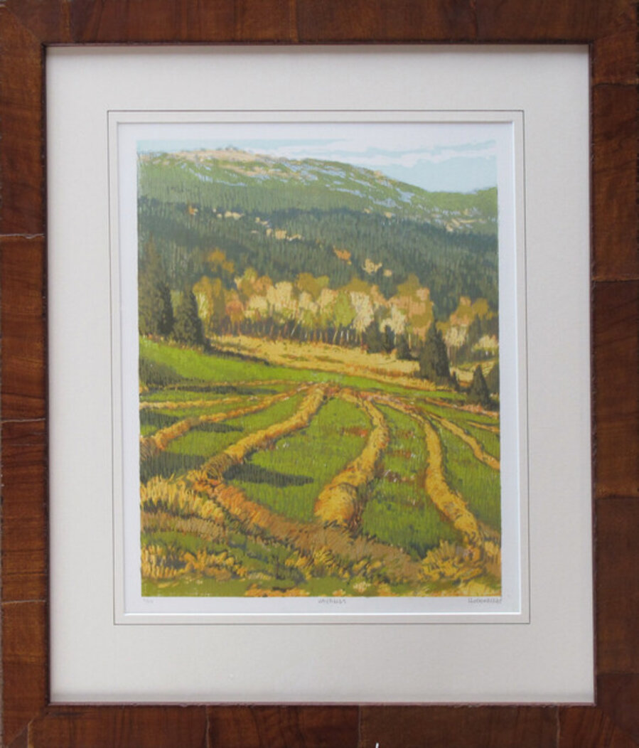 Hayfields
