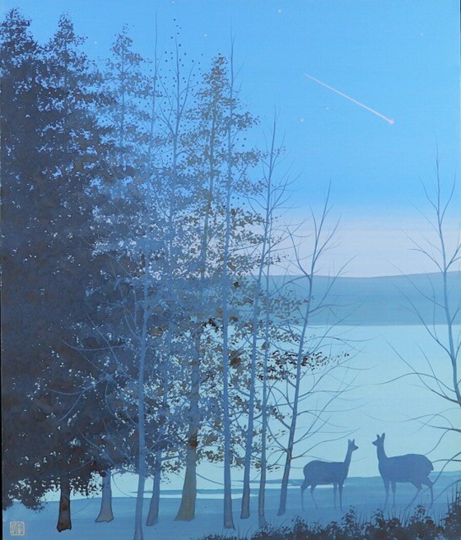 Lakeside of Stars