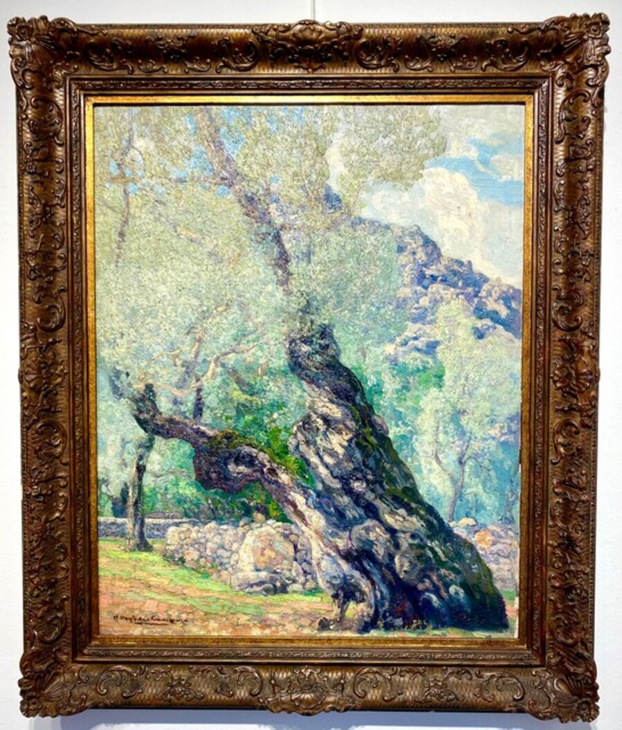 EL OLIVO
