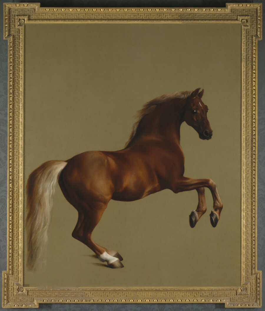 Whistlejacket