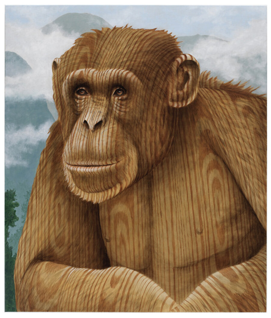 Wood Chimp