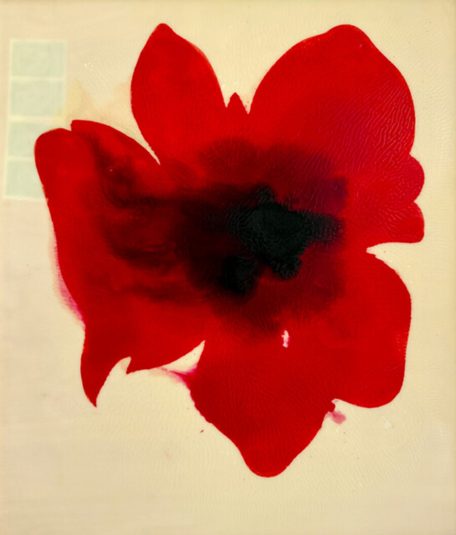 Red flowers VIII
