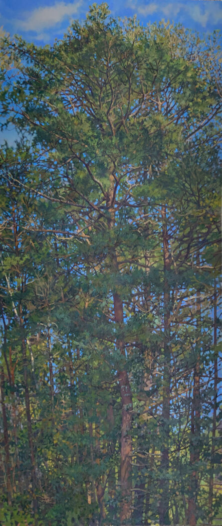 Richard Raiselis, ‘Portrait Pine’, 2022