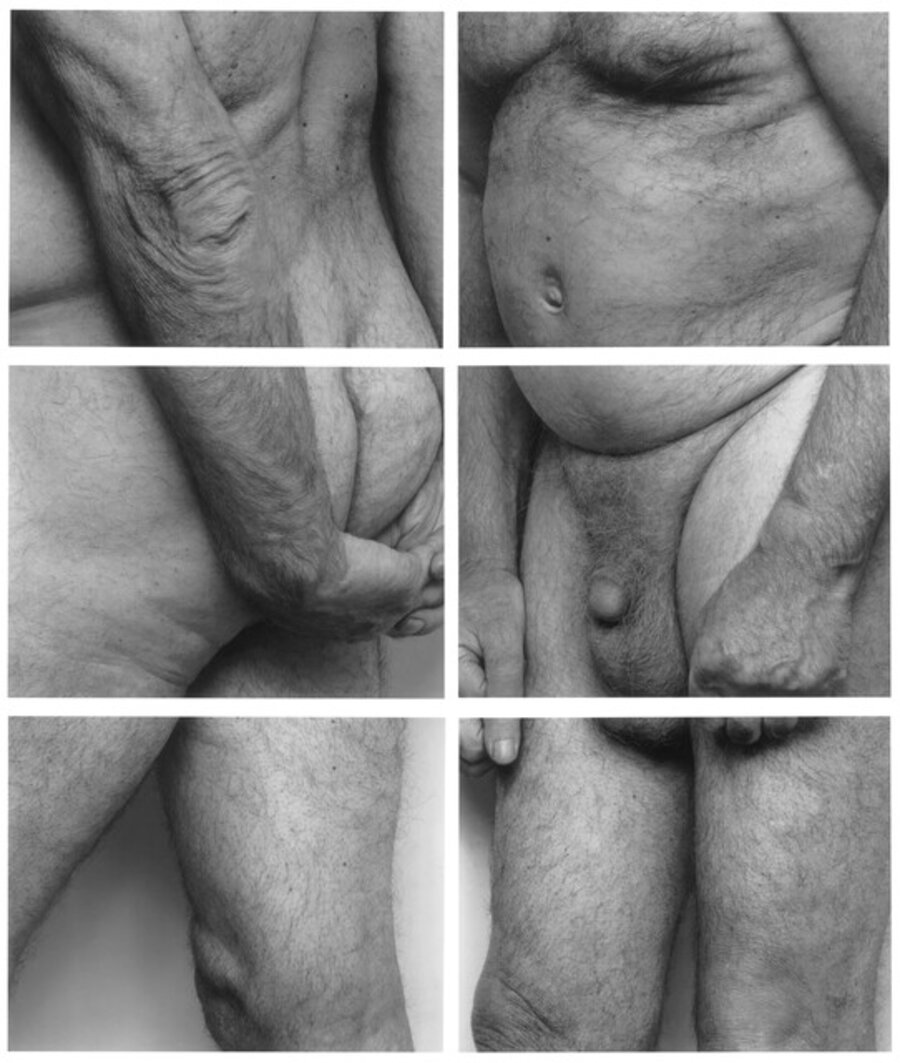 Frieze, No. 1, Two Panels, 1994