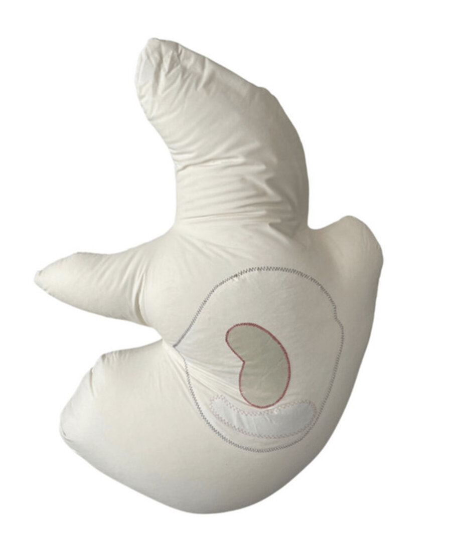 Untitled (Soft Body Series)