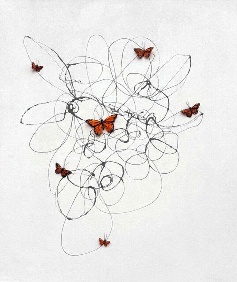 Rhythms of Flight