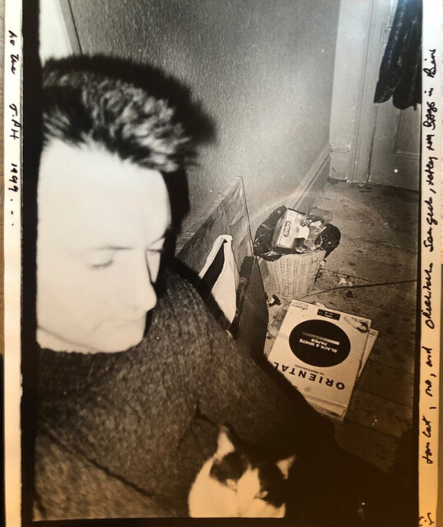 Tomcat, Me, Oriental Seagull Tetley T Bag in Bin