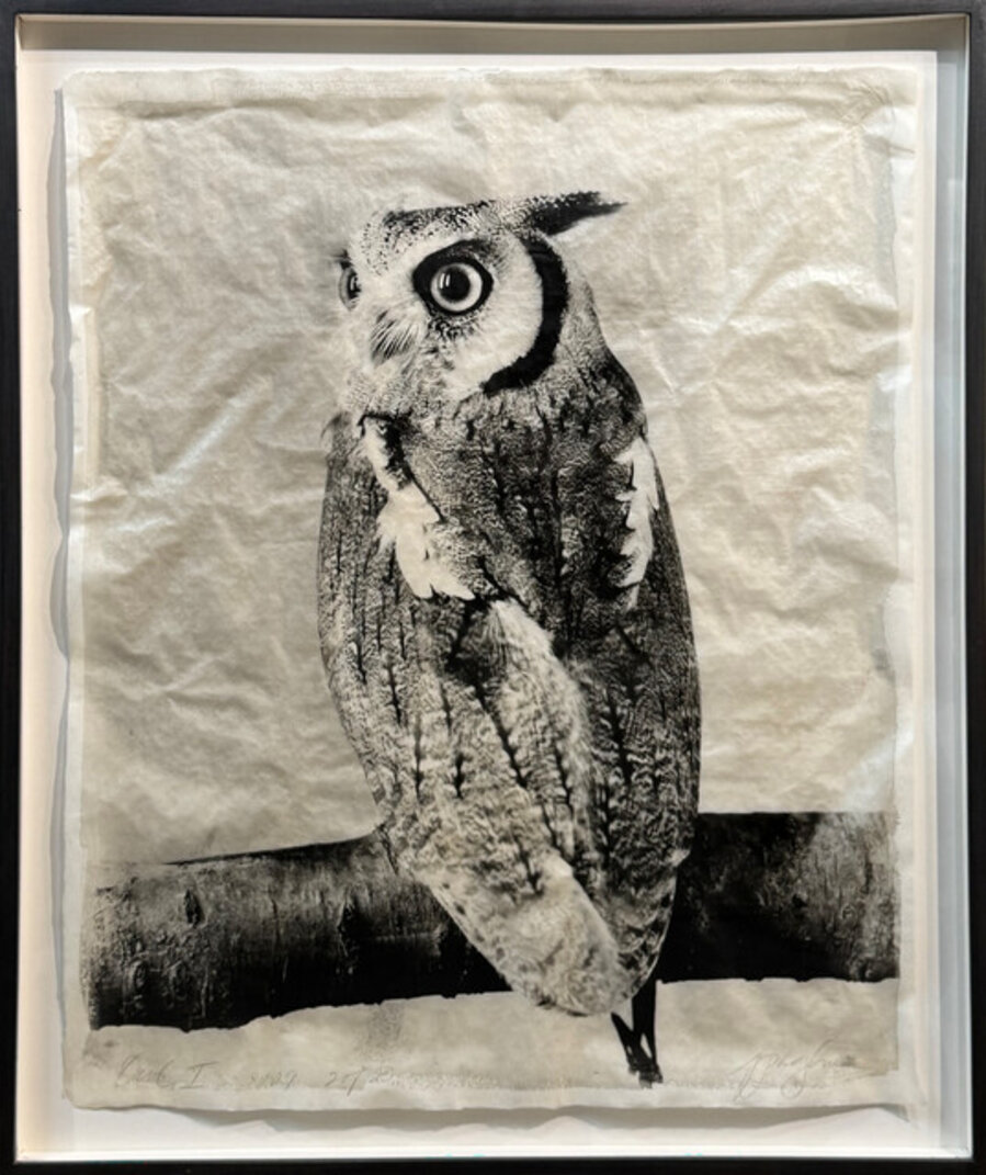 Owl I