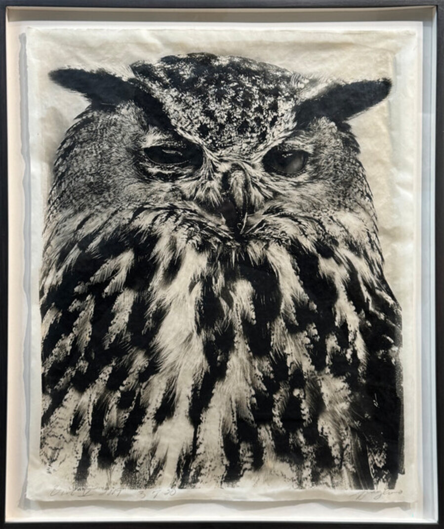 Owl V