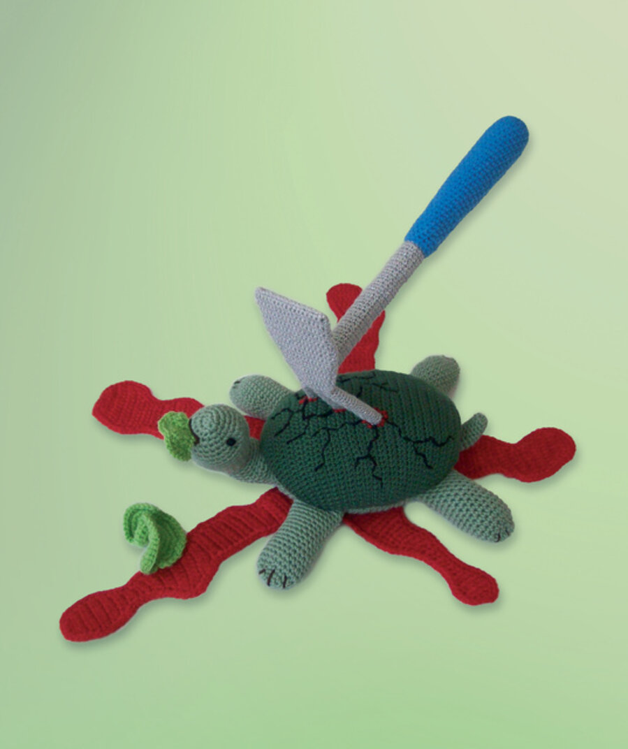 Turtle