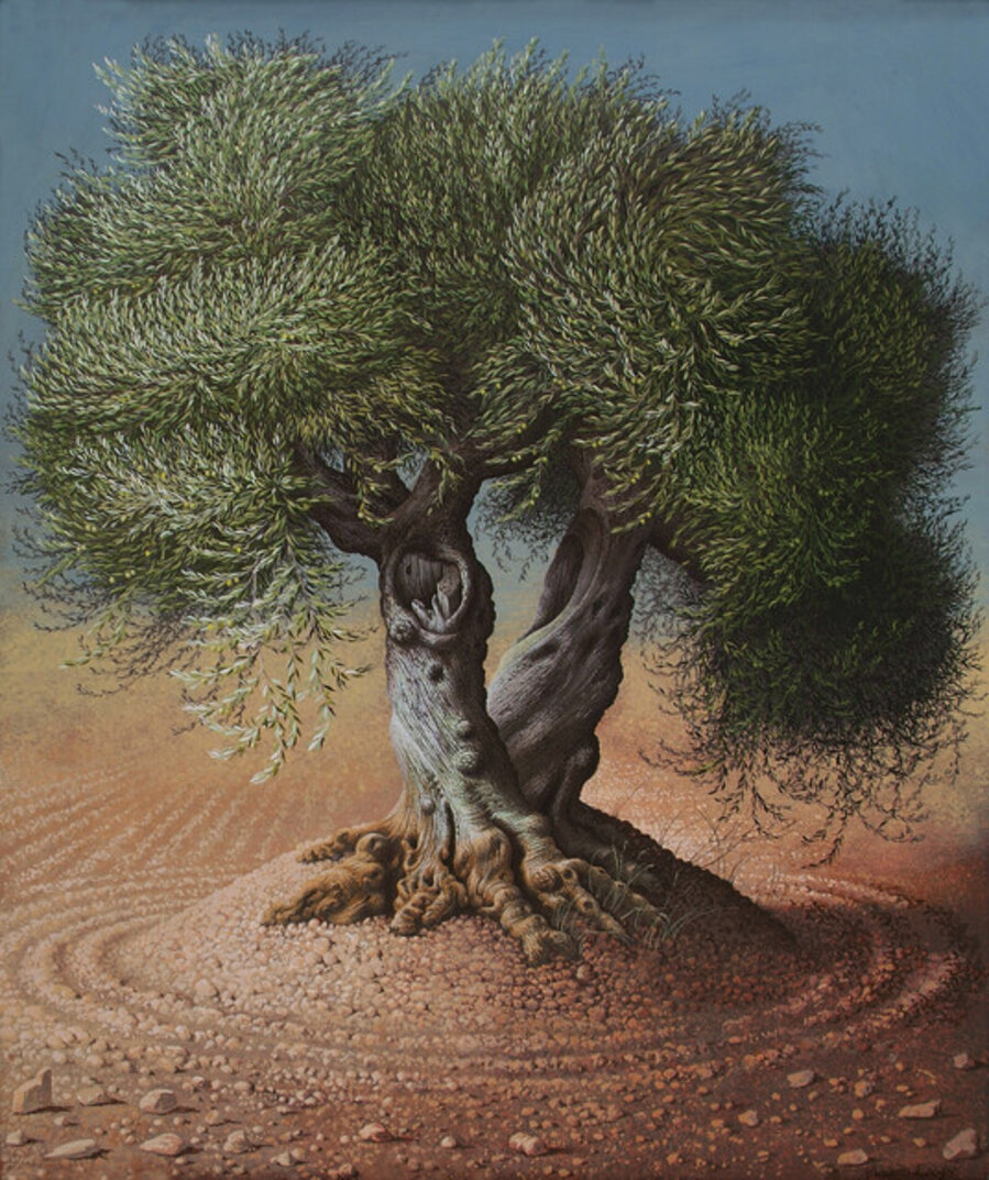 OLIVE TREE III