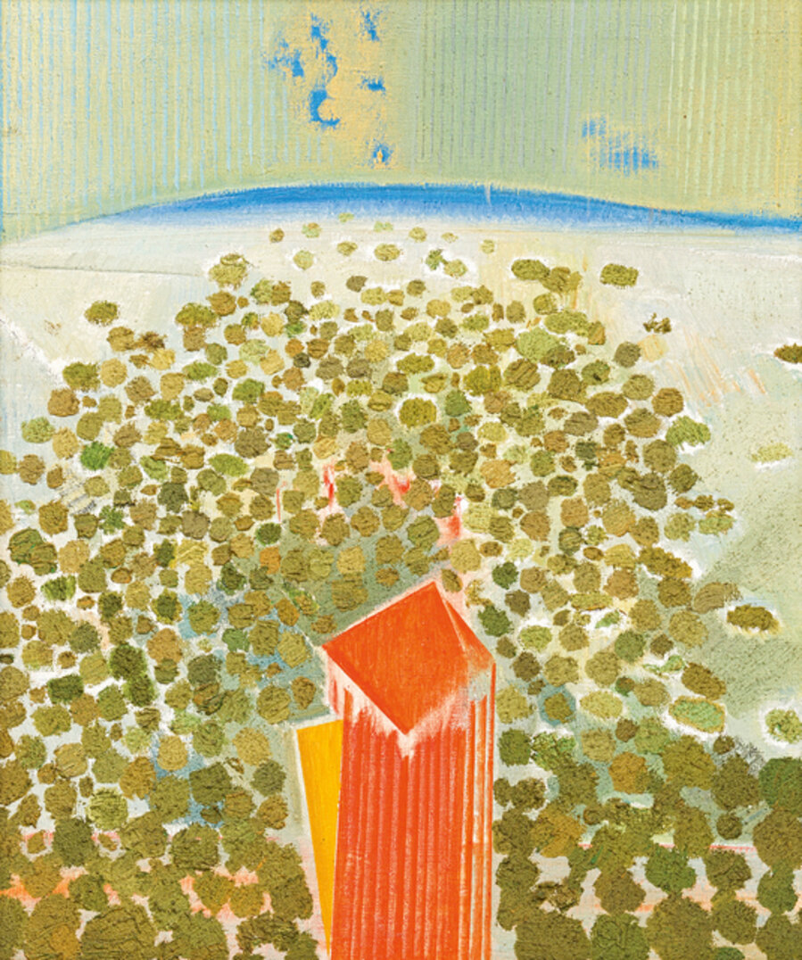 Sandveld Landscape