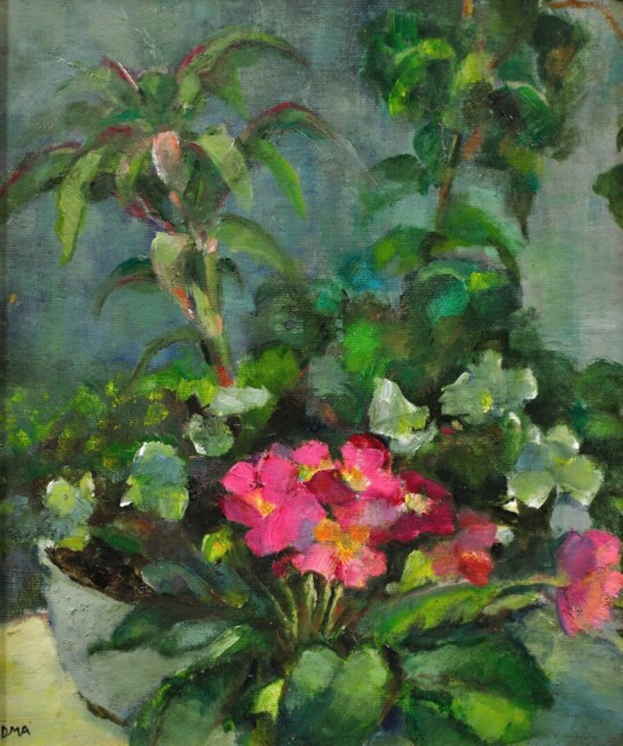 Pink Primulas and a Collection of Potted House Plants