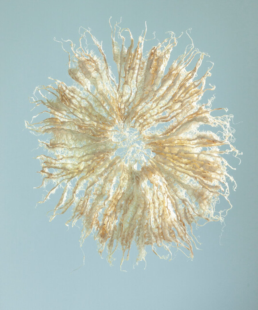 Root Medusa, Ecru