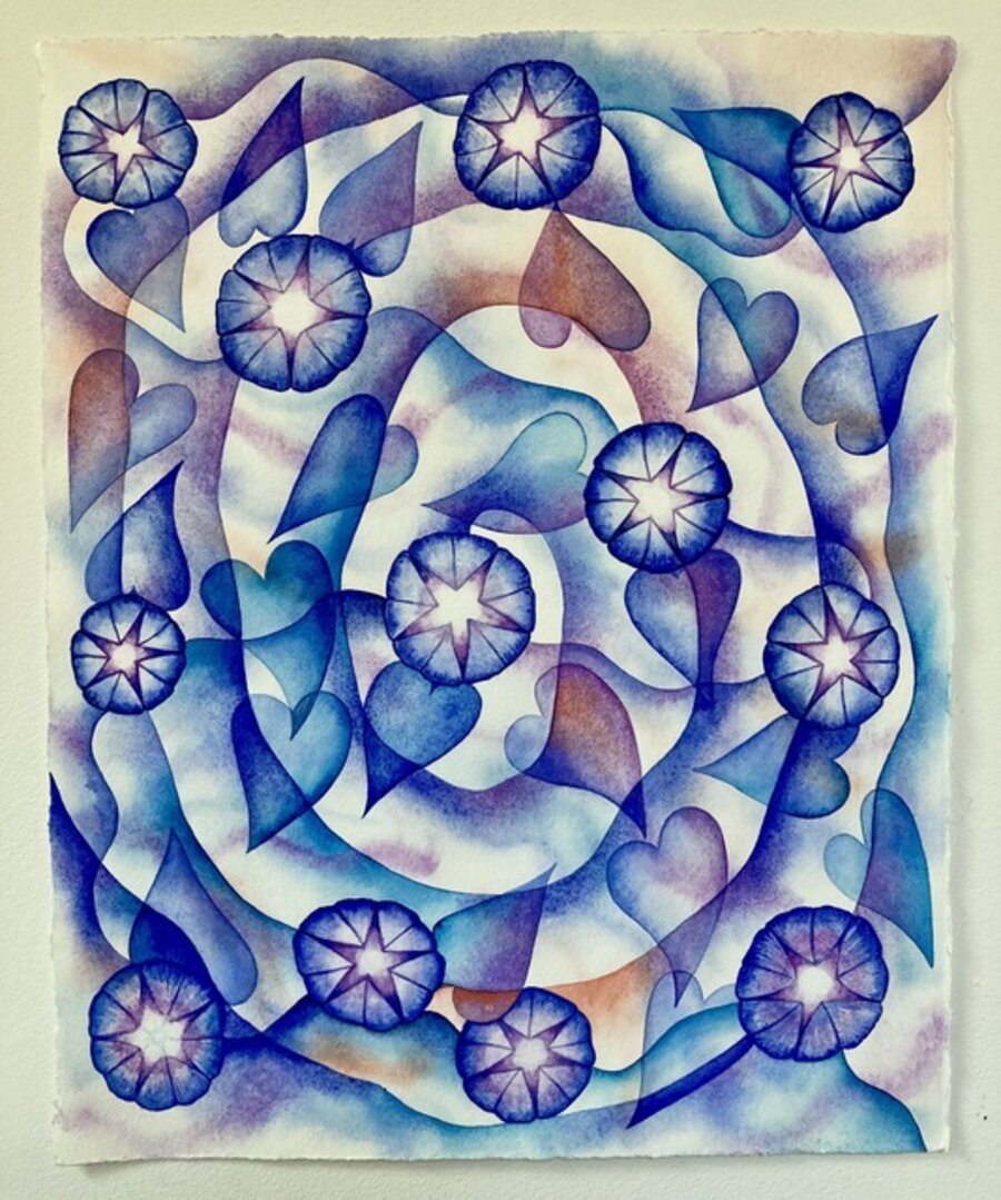 A Tangle of Morning Glories