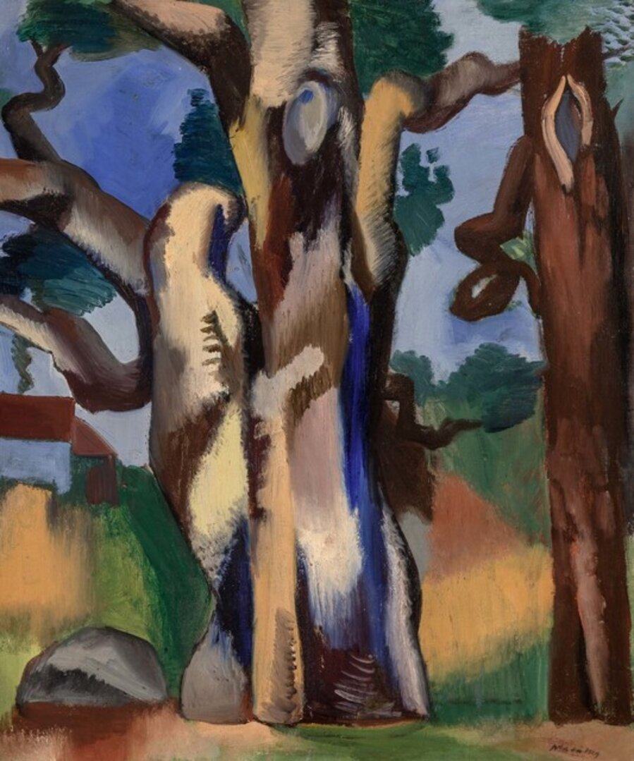 Tree in a Forest