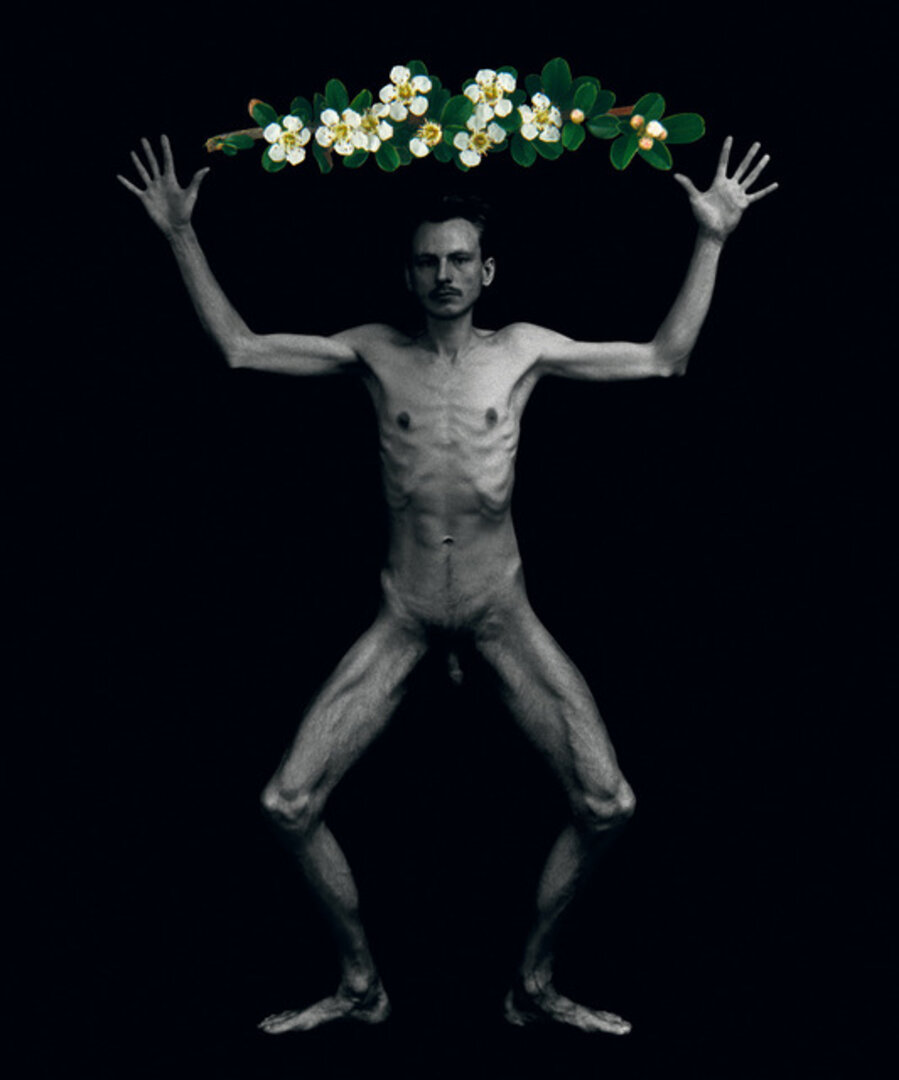 Garden (Libera and Flowers) III